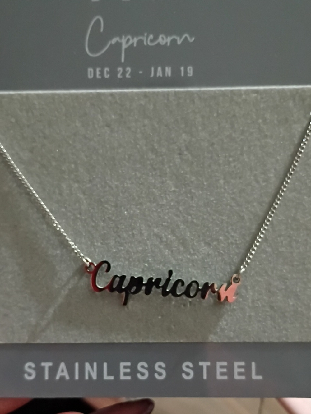 Capricorn Stainless Steel Script Name Necklace - Silver